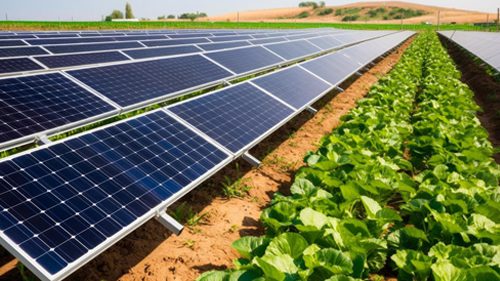 Agricultural Solar Solutions – Angola